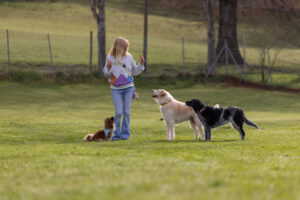Hundetrainerin Christine Caspar mit ihren Hunden auf dem Hundeplatz bei Feldkirchen-Westerham