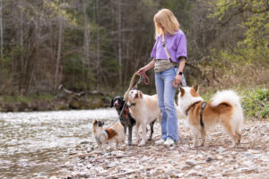 Dogwalkerin Christine Caspar mit Hunden bei der Gassirunde