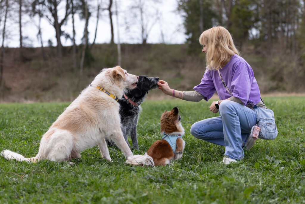 Hundetrainerin Christine Caspar mit ihren Hunden